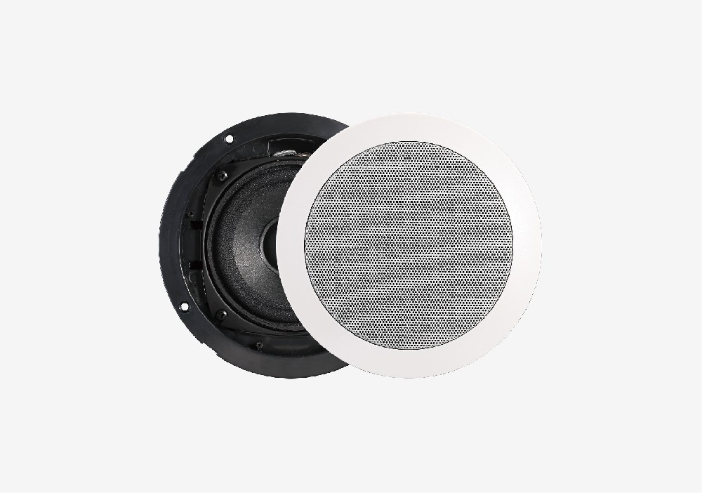 WS-TPZ403 定阻音箱